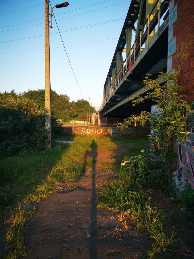 Accommodatie bij particulieren Ghostel 1st - Aventure Alternative - - Arts-factory-experience - For Artists, Makers And Open Minds - Attention, We Are Not A And Are Not Adapted For Everybody - Read Host Warnings Before Reservation - Www,providence,be Asbl