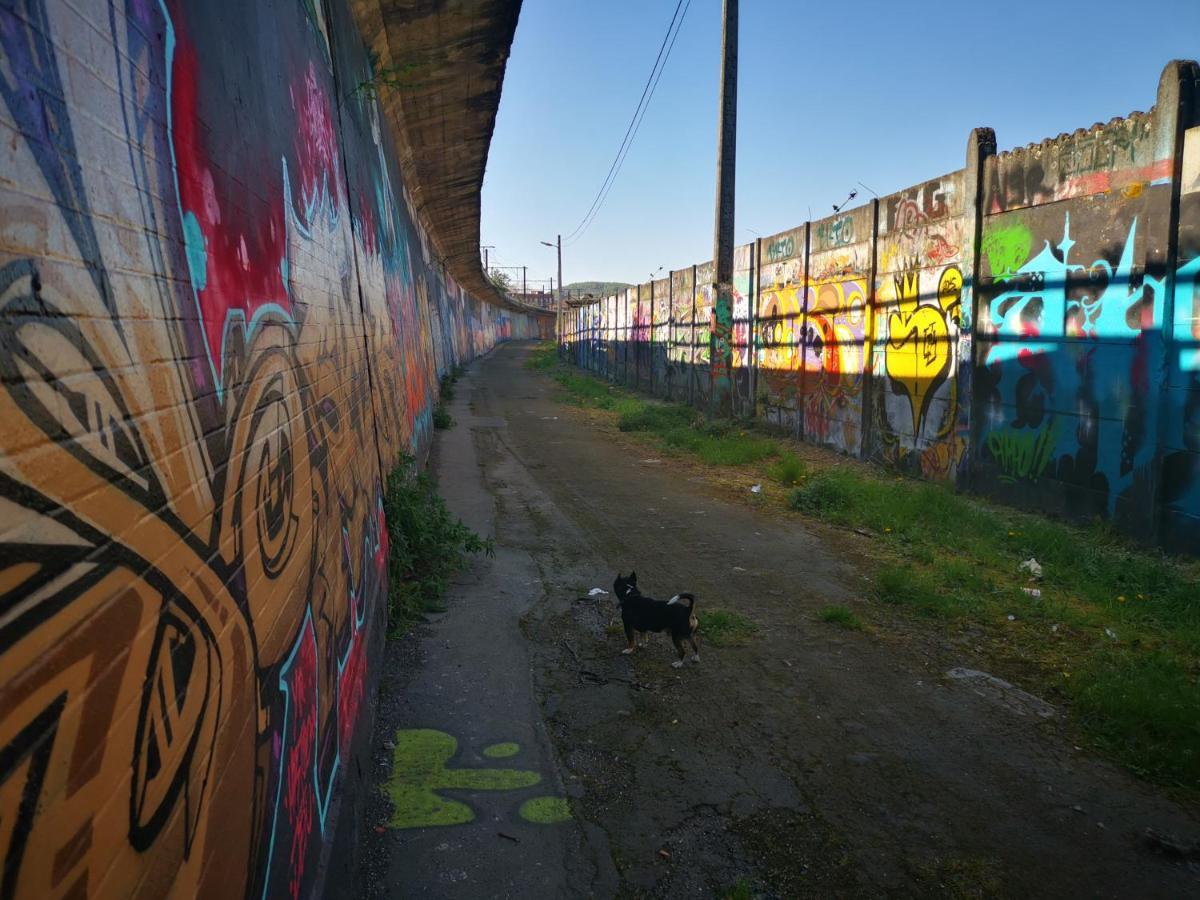 Accommodatie bij particulieren Ghostel 1st - Aventure Alternative - - Arts-factory-experience - For Artists, Makers And Open Minds - Attention, We Are Not A And Are Not Adapted For Everybody - Read Host Warnings Before Reservation - Www,providence,be Asbl *